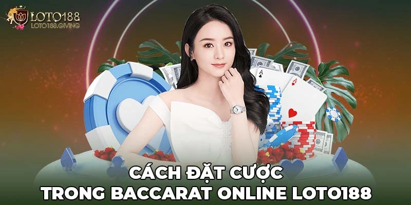 Cách đặt cược trong Baccarat Online Loto188