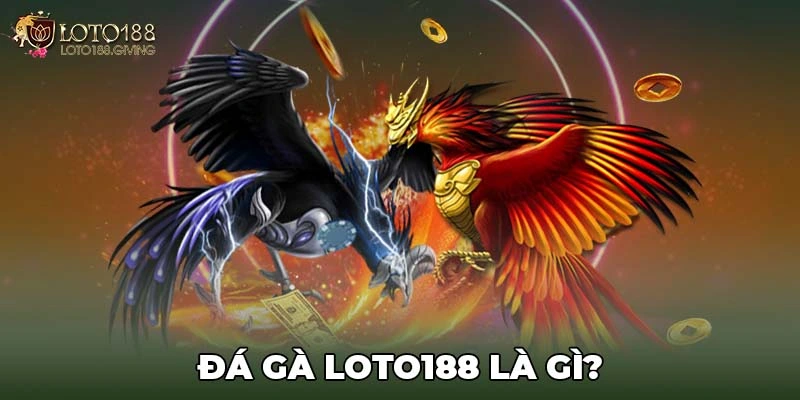 Đá gà Loto188 là gì?