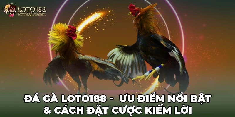 Đá Gà Loto188 - Ưu Điểm Nổi Bật & Cách Đặt Cược Kiếm Lời