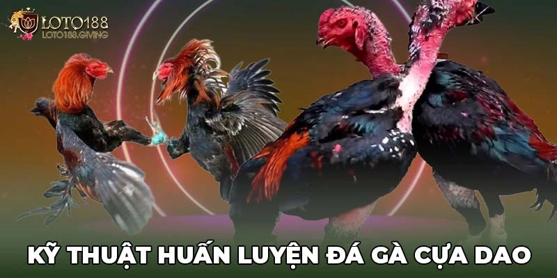 Kỹ thuật huấn luyện đá gà cựa dao