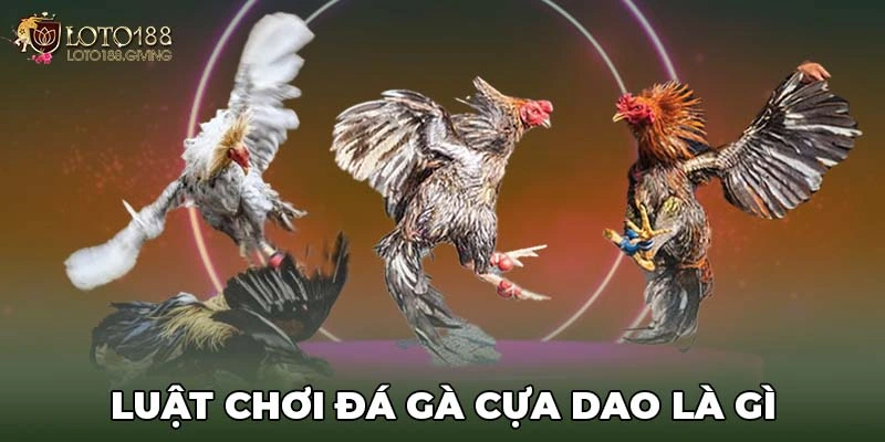 Luật chơi đá gà cựa dao là gì