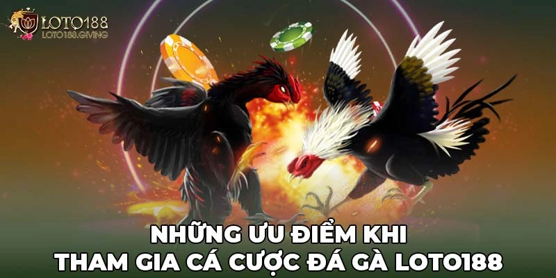 Những ưu điểm khi tham gia cá cược đá gà Loto188